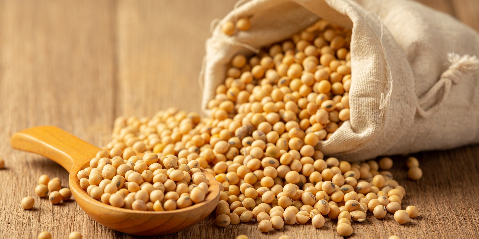 Soybean Seeds