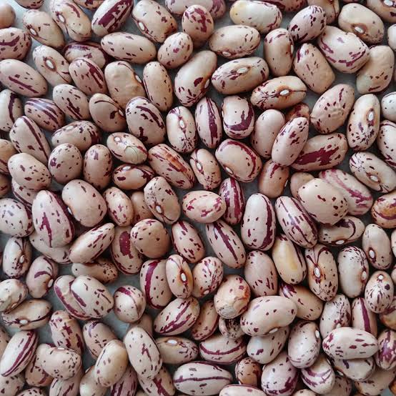 Sugarbeans